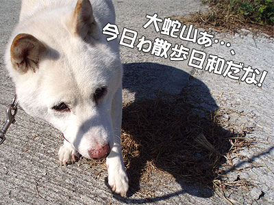 気持ちぃぃなぁ～！