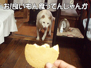 ぉぃぉぃ…こっそり何食べてるんだ？