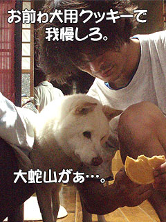 どっけん、この後大蛇山に吠え始める…。