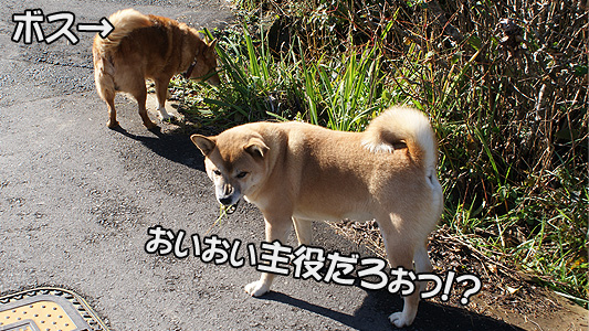 ぉぃぉぃ…誰のぉかげで食ってられるんだぁ！？（怒）