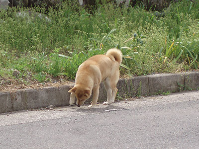 むむむ…こ、これゎ…。