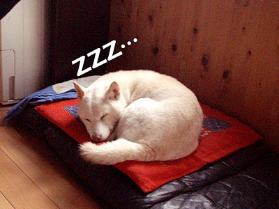 けいえいじぇいえい♪