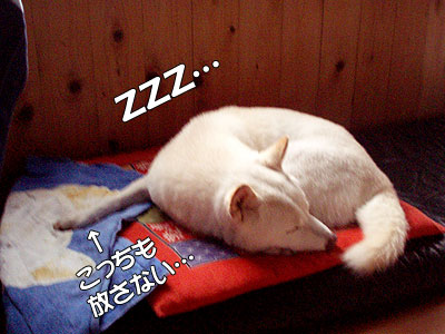 ジーダブリュオー♪ジーダブリュオー♪