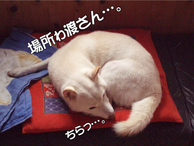 Ｋ・Ａ・Ｊ・Ａ・Ｇ・Ｏ・Ｏ♪Ｇ・Ｏ・Ｏ♪