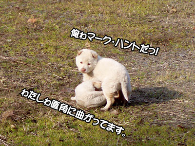 ょ～し、ここで腕ひしぎに…。