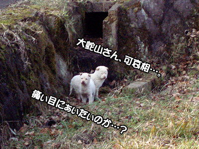 格闘技を教ぇてやろうか！？