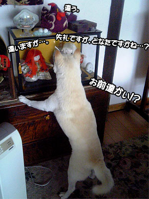 ぉ前達じゃなぃかぃ！？