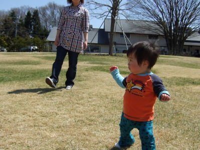 芝生とら