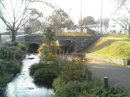 根川緑道橋