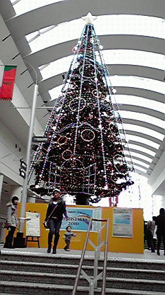 2010クリスマス.jpg