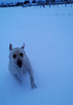 200703131743000.jpg