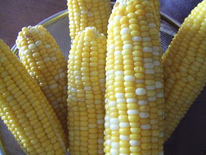 corn2.jpg