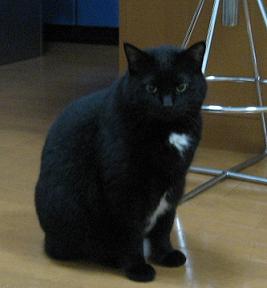 IMG_1588.JPG