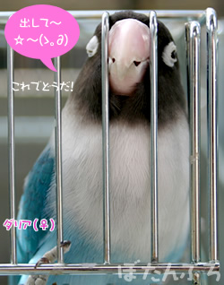 20060925_02.jpg