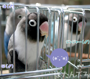 20060925_04.jpg