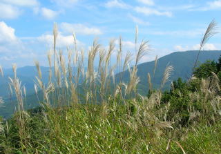 位山から乗鞍方面