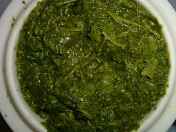 sayama-yabukita.JPG