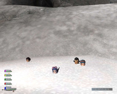 PSU活動写真３９