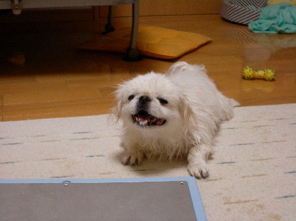 苦しみ4