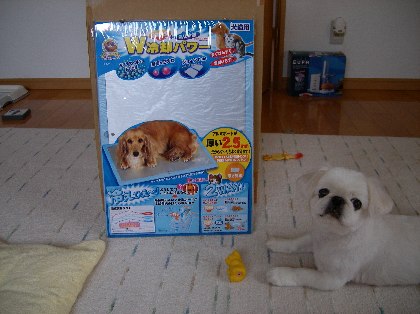 画像 001.jpg