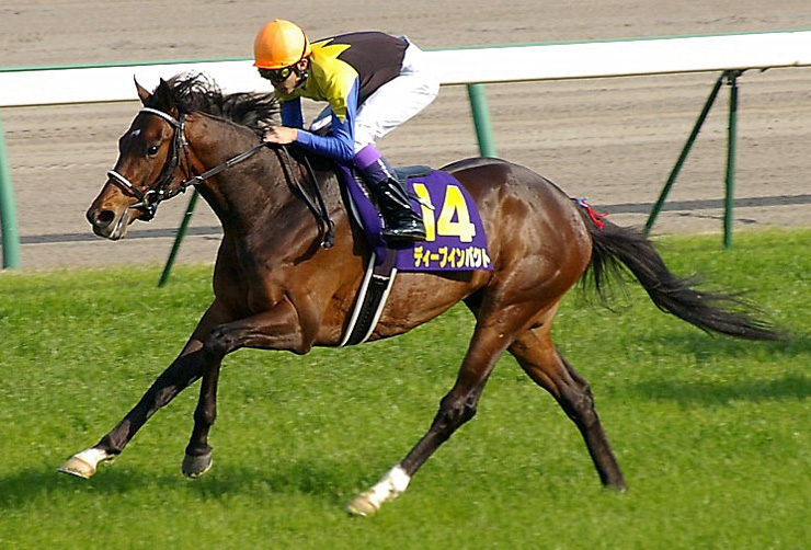 ディープインパクト＆武豊　2