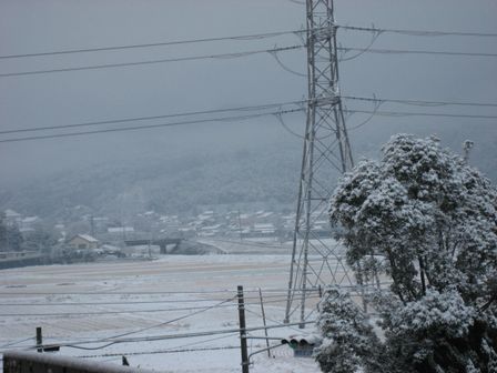 Ｈ２２．１月降雪２