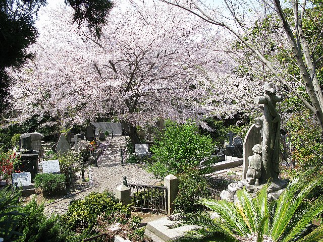 マリアとさくら