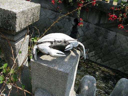 糸川遊歩道　渡り蟹