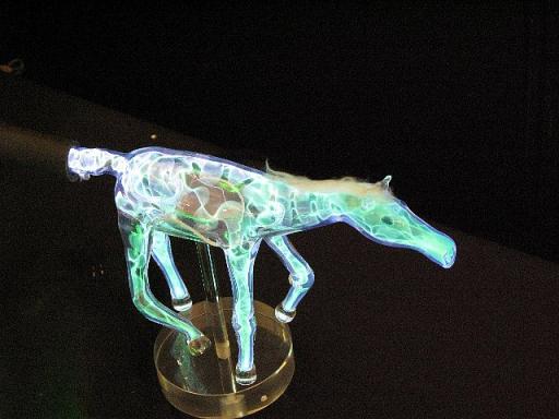 ネオン展示　馬