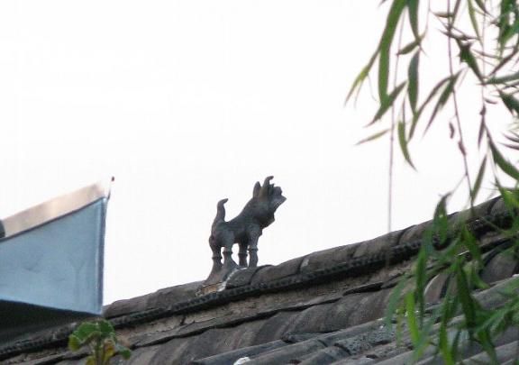 麗江古城　屋根に犬