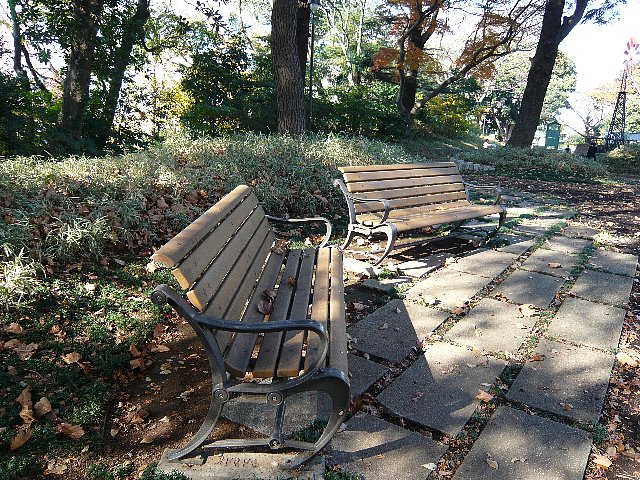 07.12　フランス山　ベンチ