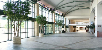 guest_atrium_01.jpg