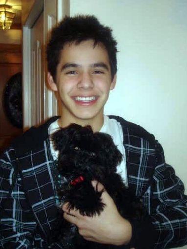 david-archuleta_382x508.jpg