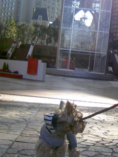 PA0_0131.JPG