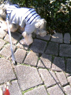 PA0_0130.JPG