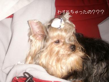 ねむいいいい