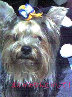 061015_1901~001.jpg