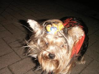 PICT0119.JPG