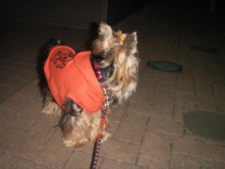 PICT0116.JPG