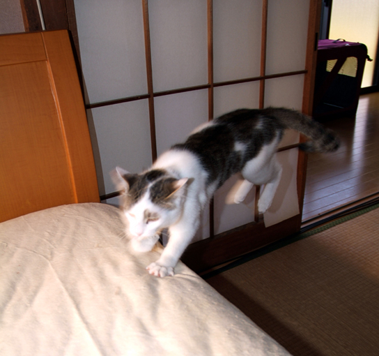 DSCF0169-1.jpg
