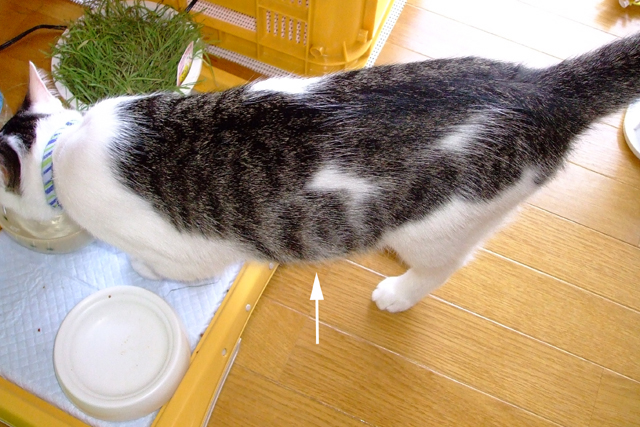 DSCF0660-1.jpg