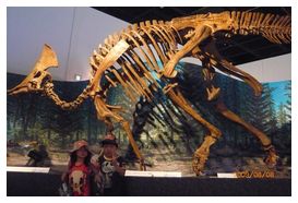 09.8.8恐竜博物館