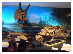 09.8.8恐竜博物館