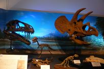 09.8.8恐竜博物館
