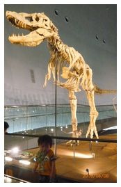 09.8.8恐竜博物館