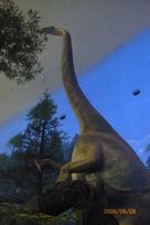 09.8.8恐竜博物館