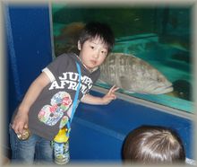 水族館へ☆