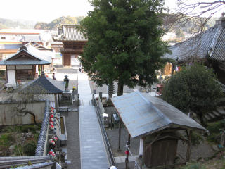 0325・22平等寺・境内.jpg