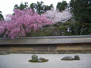 2008龍安寺・庭2.jpg