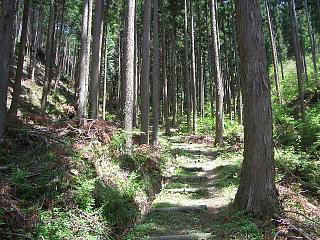 06・峠の登り道.jpg